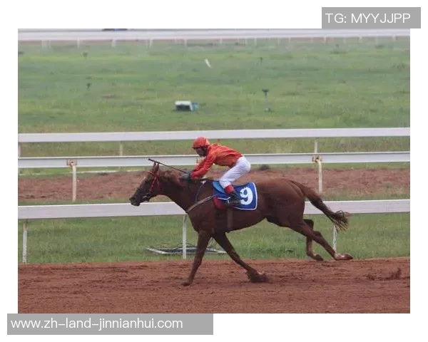 足球与骑行的完美结合探索运动激情与健康生活的双重享受